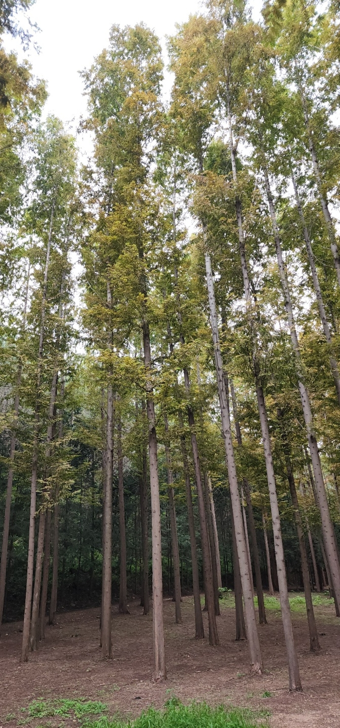 KakaoTalk_20220815_171913116_03